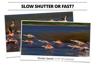 SLOW SHUTTER OR FAST?
Shutter Speed: 1/2000th of a second
©Anuroop Krishnan
Shutter Speed: 1/15th
of a second
©Anuroop Kri...
