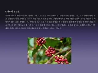 공주와 승려의 사랑이야기로 시작합니다. 1,200년경 승려 오마르는 ‘모카’마을에 정착합니다. 그 마을에는 병이 돌
고 있었는데 승려 오마르를 공주의 병을 치료해주고 공주와 사랑에 빠지지만 왕은 한낱 승려가 공주를 사랑하는 게
마땅치 않아 그를 추방합니다. 추방당한 오마르를 이리저리 해매던 중 독특하게 생긴 빨간 열매를 발견하게 되는데
요. 열매를 끓여 먹어보니 활기가 생기고 피로가 줄어드는 것을 느끼게 됩니다. 열매의 효능을 알게된 오마르가 열
매를 가지고 마을로 돌아와 많은 사람들에게 전파했다는 이야기 입니다.
오마르의 발견설
 