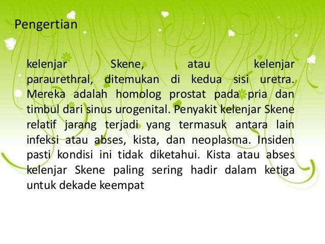 Alasan Kanker Prostat Dalam Perempuan Mungkin Terjadi Hello Sehat Alasan Kanker Prostat Dalam Perempuan Mungkin Terjadi Hello Sehat