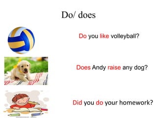 Do/ does
Do you like volleyball?
Does Andy raise any dog?
Did you do your homework?
 