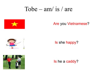Tobe – am/ is / are
Are you Vietnamese?
Is she happy?
Is he a caddy?
 