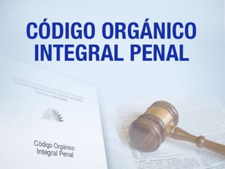 Enlace Ciudadano Nro 351 tema:  código orgánico integral penal