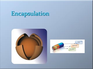 Encapsulation
 