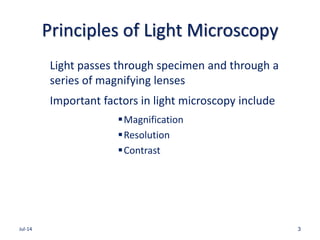 Principles of Light Microscopy
Light passes through specimen and through a
series of magnifying lenses
Important factors i...