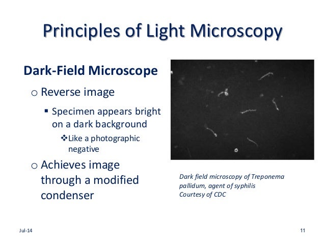 principle of bright field microscopy pdf