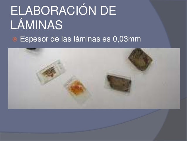Elaboración de Laminas Delgadas y Secciones Pulidas