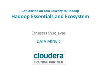 Get Started on Your Journey to Hadoop
Hadoop Essentials and Ecosystem
Ernestas Sysojevas
DATA MINER
 