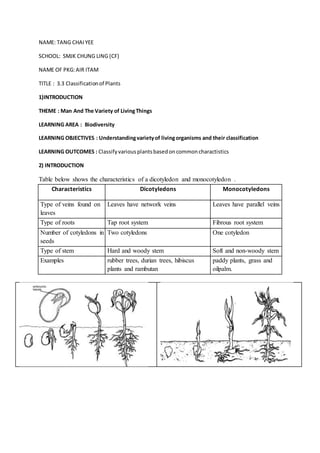 NAME: TANG CHAIYEE
SCHOOL: SMJK CHUNG LING (CF)
NAME OF PKG:AIR ITAM
TITLE : 3.3 Classificationof Plants
1)INTRODUCTION
THEME : Man And The Variety of LivingThings
LEARNING AREA : Biodiversity
LEARNING OBJECTIVES : Understandingvarietyof livingorganisms and their classification
LEARNING OUTCOMES : Classifyvariousplantsbasedoncommoncharactistics
2) INTRODUCTION
Table below shows the characteristics of a dicotyledon and monocotyledon .
Characteristics Dicotyledons Monocotyledons
Type of veins found on
leaves
Leaves have network veins Leaves have parallel veins
Type of roots Tap root system Fibrous root system
Number of cotyledons in
seeds
Two cotyledons One cotyledon
Type of stem Hard and woody stem Soft and non-woody stem
Examples rubber trees, durian trees, hibiscus
plants and rambutan
paddy plants, grass and
oilpalm.
 