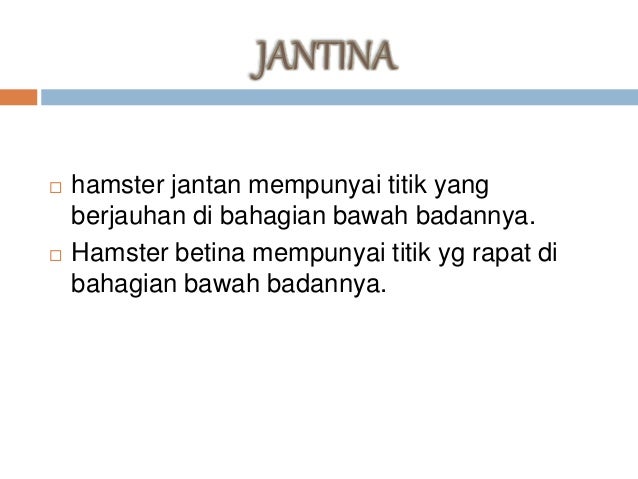 Ubat Mata Lesu - Berubat r