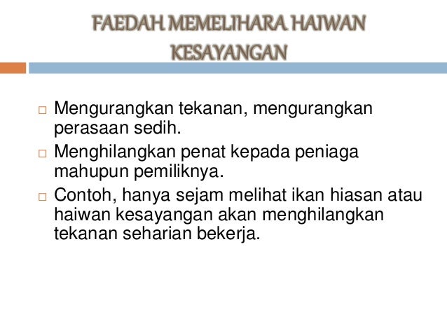 Teknologi pemeliharaan haiwan kesayangan dan ikan hiasan
