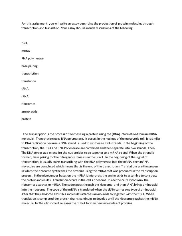 dna replication essay