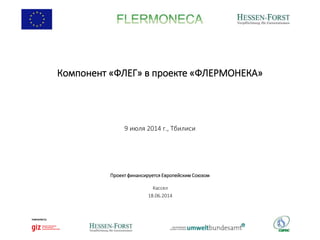 Компонент «ФЛЕГ» в проекте «ФЛЕРМОНЕКА»
9 июля 2014 г., Тбилиси
Кассел
18.06.2014
Проект финансируется Европейским Союзом
 