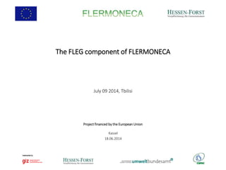 The FLEG component of FLERMONECA
July 09 2014, Tbilisi
Kassel
18.06.2014
Project financed by the European Union
 