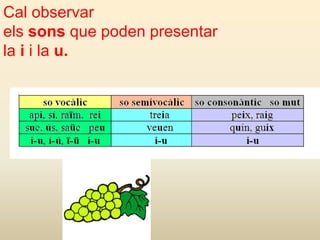 Cal observar
els sons que poden presentar
la i i la u.
 