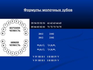 Формулы молочных зубов 
55 54 53 52 51 61 62 63 64 65 
85 84 83 82 81 71 72 73 74 75 
2012 2102 
2012 2102 
m2p0c1i2 i2c1p0m2 
m2p0c1i2 i2c1p0m2 
V IV III II I I II III IV V 
V IV III II I I II III IV V 
 