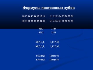 Формулы постоянных зубов 
18 17 16 15 14 13 12 11 21 22 23 24 25 26 27 28 
48 47 46 45 44 43 42 41 31 32 33 34 35 36 37 38 
3212 2123 
3212 2123 
M3P2C1I2 I2C1P2M3 
M3P2C1I2 I2C1P2M3 
87654321 12345678 
87654321 12345678 
 