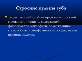 Строение пульпы зуба 
 3)центральный слой — представлен рыхлой 
волокнистой тканью, содержащей 
фибробласты, макрофаги, более крупные 
кровеносные и лимфатические сосуды, пучки 
нервных волокон. 
 