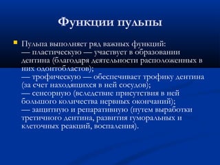Функции пульпы 
 Пульпа выполняет ряд важных функций: 
— пластическую — участвует в образовании 
дентина (благодаря деятельности расположенных в 
них одонтобластов); 
— трофическую — обеспечивает трофику дентина 
(за счет находящихся в ней сосудов); 
— сенсорную (вследствие присутствия в ней 
большого количества нервных окончаний); 
— защитную и репаративную (путем выработки 
третичного дентина, развития гуморальных и 
клеточных реакций, воспаления). 
 
