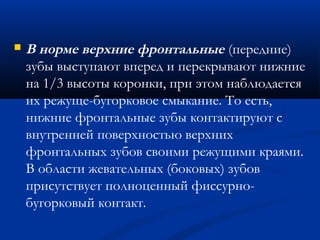  В норме верхние фронтальные (передние) 
зубы выступают вперед и перекрывают нижние 
на 1/3 высоты коронки, при этом наблюдается 
их режуще-бугорковое смыкание. То есть, 
нижние фронтальные зубы контактируют с 
внутренней поверхностью верхних 
фронтальных зубов своими режущими краями. 
В области жевательных (боковых) зубов 
присутствует полноценный фиссурно- 
бугорковый контакт. 
 