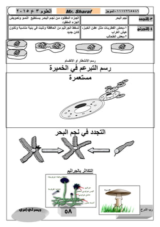 رب اشرح لي صدري ويسر لي امري 
58 
العلوم 3 ع 2651 Mr. Sharaf 65556201110 الموجز 
3 التجدد نجم البحر الجاازء المفقااود ماان نجاام البحاار يسااتطيع النمااو وتعااويض - 
الجزء المفقود 
4 التجرثم 1 بعااض الفطريااات مثاال عفاان الخبااز - - - 
عيش الغراب 
2 بعض الطحالب - 
تسقط الجراثيم من الحافظة وتنبت في بئية مناسبة وتكاون 
كائن جديد 
رسم الانشطار او الانقسام 
رسم التبرعم في الخميرة 
مستعمرة 
التجدد في نجم البحر 
التكااثر بالجراثيم 
 