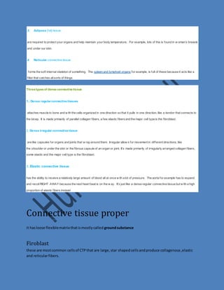 3. Adipose (fat) tissue 
are required to protect your organs and help maintain your body temperature. For example, lots of this is f ound in w oman’s breasts 
and under our skin. 
4. Reticular connective tissue 
forms the sof t internal skeleton of something. The spleen and lymphoid organs for example, is full of these because it acts like a 
f ilter that catches all sorts of things. 
Three types of dense connective tissue 
1.. Dense regular connective tissues 
attaches muscle to bone and w ith the cells organized in one direction so that it pulls in one direction, like a tendon that connects to 
the bicep. It is made primarily of parallel collagen f ibers, a few elastic f ibers and the major cell type is the f ibroblast. 
2. Dense irregular connective tissue 
are like capsules for organs and joints that w rap around them. Irregular allow s for movement in dif ferent directions, like 
the shoulder or under the skin or the f ibrous capsule of an organ or joint. It’s made primarily of irregularly arranged collagen f ibers, 
some elastic and the major cell type is the f ibroblast. 
3. Elastic connective tissue 
has the ability to receive a relatively large amount of blood all at once w ith a lot of pressure. The aorta for example has to expand 
and recoil RIGHT AWAY because the next heart beat is on the w ay. It’s just like a dense regular connective tissue but w ith a high 
proportion of elastic f ibers instead 
Connective tissue proper 
it has loose flexible matrix that is mostly called ground subctance 
Firoblast 
these are most common cells of CTP that are large, star shaped cells and produce collagenous ,elastic 
and reticular fibers. 
 