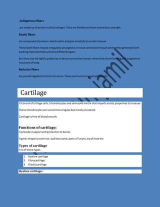 Collagenous fibers 
are made up of protein called collagen. They are flexible and have tramedous strength 
Elastic fibers 
are composed of protein called elastin and give elasticity to certain tissues 
These both fibers may be irregularly arranged as in loose connective tissues where they generally form 
packing materials that cushions different organs 
But they may be tightly packed as in dense connective tissues where they form binding and supportive 
functions of body 
Reticular fibers 
are joined together to form reticulum. These are found in lymphatic vessels 
Cartilage 
It Consist of crtilage cells / chondrocytes and semisolid metrix that imparts elastic properties to tisseues 
These chondrocytes are sometimes singular but mostly clustered 
Cartilage is free of blood vessels 
Functions of cartilage; 
It provides support and protection to bones 
It gives shape to outer ear, auditory canal, parts of larynx, tip of nose etc 
Types of cartlilage 
It is of three types 
1. Hyaline cartilage 
2. Fibrocartilage 
3. Elastic cartilage 
Hyaline cartilage:- 
 