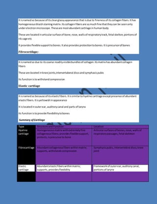 It is named so because of its clear glassy appearance that is due to fineness of its collagen fibers. It has 
homogeneous bluish staining matrix. Its collagen fibers are so much fine that they can be seen only 
under electron microscope. These are most abundant cartilage in human body 
These are located in articular surface of bone, nose, walls of respiratory track, fetal skelton, portions of 
rib cage etc 
It provides flexible support to bones. It also provides protection to bones. It is precursor of bones 
Fibrocartilage;- 
It is named so due to its coarse readily visible bundles of collagen. Its matrix has abundant collagen 
fibers 
These are located in knee joints,intervertaberal discs and symphasis pubis 
Its function is to withstand compression 
Elastic cartilage 
It is named so because of its elastic fibers. It is similar to hyaline cartilage except presence of abundant 
elastic fibers. It is yellowish in appearance 
It is located in outer ear, auditory canal and parts of larynx 
Its function is to provide flexibilitry to bones 
Summary of Cartilage 
Type Structure and Function Location 
Hyaline 
cartilage 
Homogeneous matrix with extremely fine 
collagenous fibers; provides flexible support, 
protects, is precursor to bone 
Articular surfaces of bones, nose, walls of 
respiratory passages, fetal skeleton 
Fibrocartilage Abundant collagenous fibers within matrix; 
supports, withstands compression 
Symphysis pubis, intervertebral discs, knee 
joint 
Elastic 
cartilage 
Abundant elastic fibers within matrix; 
supports, provides flexibility 
Framework of outer ear, auditory canal, 
portions of larynx 
 