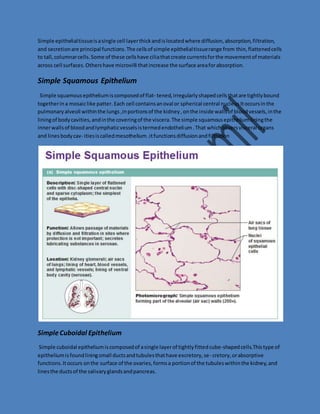 Simple epithelial tissue is a single cell layer thick and is located where diffusion, absorption, filtration, 
and secretion are principal functions. The cells of simple epithelial tissue range from thin, flattened cells 
to tall, columnar cells. Some of these cells have cilia that create currents for the movement of materials 
across cell surfaces. Others have microvilli that increase the surface area for absorption. 
Simple Squamous Epithelium 
Simple squamous epithelium is composed of flat- tened, irregularly shaped cells that are tightly bound 
together in a mosaic like patter. Each cell contains an oval or spherical central nucleus It occurs in the 
pulmonary alveoli within the lungs ,in portions of the kidney , on the inside walls of blood vessels, in the 
lining of body cavities, and in the covering of the viscera. The simple squamous epithelium lining the 
inner walls of blood and lymphatic vessels is termed endothelium . That which covers visceral organs 
and lines body cav- ities is called mesothelium .it functions diffusion and filtration 
Simple Cuboidal Epithelium 
Simple cuboidal epithelium is composed of a single layer of tightly fitted cube-shaped cells.This type of 
epithelium is found lining small ducts and tubules that have excretory, se- cretory, or absorptive 
functions. It occurs on the surface of the ovaries, forms a portion of the tubules within the kidney, and 
lines the ducts of the salivary glands and pancreas. 
 