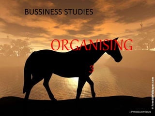 BUSSINESS STUDIES 
ORGANISING 
3 
 