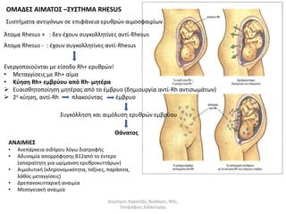 ΟΜΑΔΕΣ ΑΙΜΑΤΟΣ –ΣΥΣΤΗΜΑ RHESUS 
Συστήματα αντιγόνων σε επιφάνεια ερυθρών αιμοσφαιρίων 
Άτομα Rhesus + : δεν έχουν συγκολλητίνες αντί-Rhesus 
Άτομα Rhesus - : έχουν συγκολλητίνες αντί-Rhesus 
Ενεργοποιούνται με είσοδο Rh+ ερυθρών! 
• Μεταγγίσεις με Rh+ αίμα 
• Κύηση Rh+ εμβρύου από Rh- μητέρα 
 Ευαισθητοποίηση μητέρας από το έμβρυο (δημιουργία αντί-Rh αντισωμάτων) 
 2η κύηση, αντί-Rh πλακούντας έμβρυο 
Συγκόλληση και αιμόλυση ερυθρών εμβρύου 
Θάνατος 
Δημήτρης Καρατζάς, Βιολόγος, MSc, 
Υποψήφιος Διδάκτορας 
ΑΝΑΙΜΙΕΣ 
• Ανεπάρκεια σιδήρου λόγω διατροφής 
• Αδυναμία απορρόφησης Β12από το έντερο 
(απαραίτητη για ωρίμανση ερυθροκυττάρων) 
• Αιμολυτική (κληρονομικότητα, τοξίνες, παράσιτα, 
λάθος μεταγγίσεις) 
• Δρεπανοκυτταρική αναιμία 
• Μεσογειακή αναιμία 
