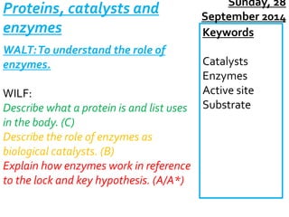 Proteins, catalysts and 
enzymes 
WALT: To understand the role of 
enzymes. 
WILF: 
Describe what a protein is and list uses 
in the body. (C) 
Describe the role of enzymes as 
biological catalysts. (B) 
Explain how enzymes work in reference 
to the lock and key hypothesis. (A/A*) 
Sunday, 28 
September 2014 
Keywords 
Catalysts 
Enzymes 
Active site 
Substrate 
 