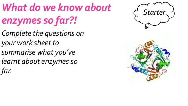 Can Enzymes Breakdown Food Molecules In The Pancreas Can Enzymes Breakdown Food Molecules In The Pancreas