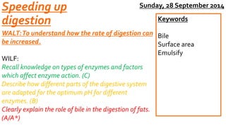Speeding up 
digestion 
WALT: To understand how the rate of digestion can 
be increased. 
Sunday, 28 September 2014 
WILF: 
Recall knowledge on types of enzymes and factors 
which affect enzyme action. (C) 
Describe how different parts of the digestive system 
are adapted for the optimum pH for different 
enzymes. (B) 
Clearly explain the role of bile in the digestion of fats. 
(A/A*) 
Keywords 
Bile 
Surface area 
Emulsify 
 