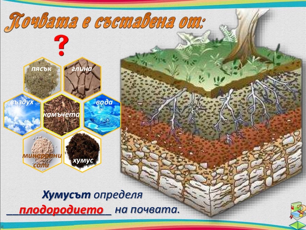 3. Почва - ЧП, 4 клас, Булвест