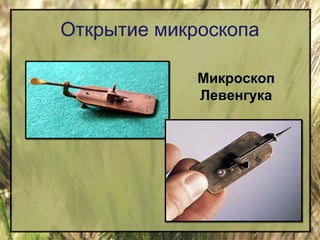 Открытие микроскопа 
Микроскоп 
Левенгука 
 