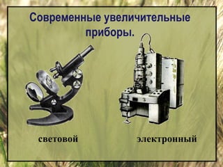 Современные увеличительные 
приборы. 
световой электронный 
 