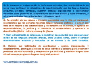 5.- Se interesen en la observación de fenómenos naturales y las características de los 
seres vivos; participen en situaciones de experimentación que los lleva a describir, 
preguntar, predecir, comparar, registrar, elaborar explicaciones e intercambiar 
opiniones sobre procesos de transformación del mundo natural y social inmediato, y 
adquieran actitudes favorables hacia el cuidado del medio. 
6.- Se apropien de los valores y principios necesarios para la vida en comunidad, 
reconociendo que las personas tenemos rasgos culturales distintos, y actúen con 
base en el respeto a las características y los derechos de los demás, el ejercicio de 
responsabilidades, la justicia y la tolerancia, el reconocimiento y aprecio a la 
diversidad lingüística , cultural, étnica y de género. 
7.- Usen la imaginación de la fantasía, la iniciativa y la creatividad para expresarse por 
medio de los lenguajes artísticos (música, artes visuales, danza, teatro) y apreciar 
manifestaciones artísticas y culturales de su entorno y de otros contextos. 
8.- Mejoren sus habilidades de coordinación , control, manipulación, y 
desplazamiento., practiquen acciones de salud individual y colectiva para preservar y 
promover una vida saludable, y comprendan qué actitudes y medidas adoptar ante 
situaciones que pongan en riesgo su integridad personal. 
www.centroescolarmexico.com.mx 
 