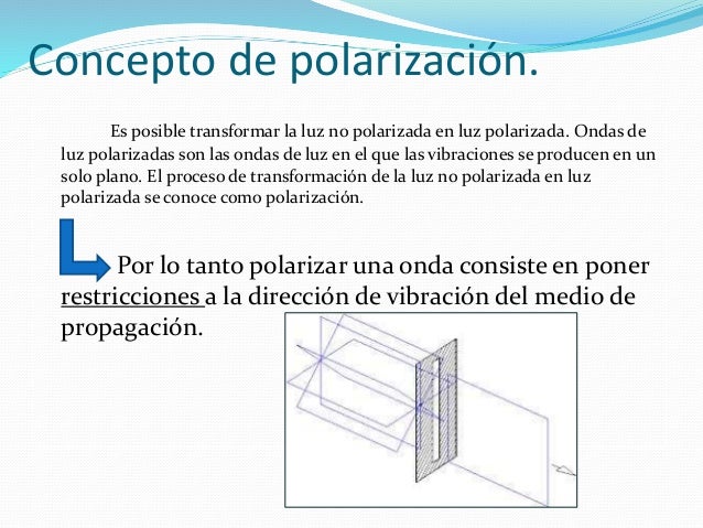 3.5. La polarización