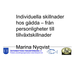 Individuella skillnader 
hos gädda – från 
personligheter till 
tillväxtskillnader 
Marina Nyqvist 
______________________________________________________ 
ÖSTERBOTTENS FISKARFÖRBUND r.f. 
Fiskets utvecklingsorganisation www.fishpoint.net 
 