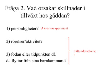 Fråga 2. Vad orsakar skillnader i 
tillväxt hos gäddan? 
1) personligheter? 
Akvarie-experiment 
2) rörelser/aktivitet? 
3) födan eller tidpunkten då 
de flyttar från sina barnkammare? 
Fältundersökelse 
r 
 