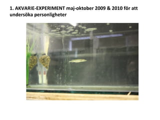 1. AKVARIE-EXPERIMENT maj-oktober 2009 & 2010 för att 
undersöka personligheter 
 