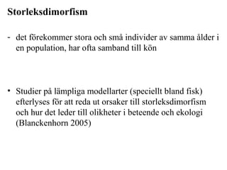 Storleksdimorfism 
- det förekommer stora och små individer av samma ålder i 
en population, har ofta samband till kön 
• Studier på lämpliga modellarter (speciellt bland fisk) 
efterlyses för att reda ut orsaker till storleksdimorfism 
och hur det leder till olikheter i beteende och ekologi 
(Blanckenhorn 2005) 
 