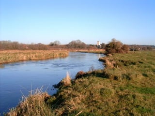 METHODS 
Study site: River Frome and tributaries near 
East Stoke, Dorset. 
 