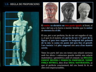 El rostre es divideix en tres parts iguals: el front, el nas, i del nas a la barra o mentó. Sembla que la unitat de mesura fos el dit. 
El cos, per a ser perfecte, ha de ser set vegades el cap, o, el que és el mateix, el cap ha de ser 1/7 part de la figura; el peu tres vegades la longitud del palmell de la mà; la cama sis pams del peu fins el genoll; l’arc toràcic i el plec engonal són arcs d’un mateix cercle. 
Totes les parts del seu cos tenen una relació correcta amb les altres i cadascuna guarda també una relació matemàtica i geomètrica amb el conjunt. La BELLESA ESDEVÉ MESURA I PERFECTA PROPORCIÓ, TAMBÉ FORÇA RÍTMICA, dins d’un IDEAL NATURALISTA, ja que el perfecte coneixement del cos humà hi és un altre tret imprescindible. 
1.B.- REGLA DE PROPORCIONS  