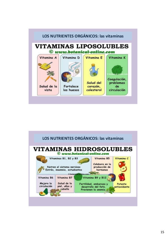 3.nutricion I pdf 3.nutricion I pdf