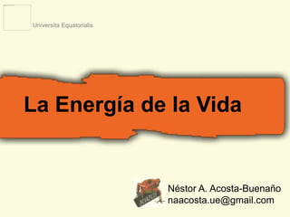 La Energía de la Vida 
Néstor A. Acosta-Buenaño 
naacosta.ue@gmail.com 
Universita Equatorialis 
 