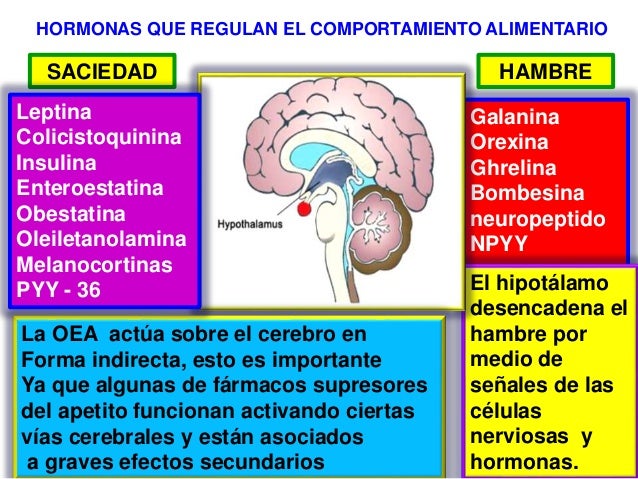 3.-DIETAS 3.-DIETAS