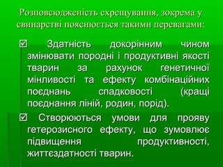Розповсюдженість ссххрреещщуувваанннняя,, ззооккррееммаа уу 
ссввииннааррссттввіі ппоояяссннююєєттььссяя ттааккииммии ппееррееввааггааммии:: 
 ЗЗддааттннііссттьь ддооккоорріінннниимм ччиинноомм 
ззммііннююввааттии ппоорроодднніі іі ппррооддууккттииввнніі яяккооссттіі 
ттвваарриинн ззаа ррааххуунноокк ггееннееттииччннооїї 
ммііннллииввооссттіі ттаа ееффееккттуу ккооммббііннааццііййнниихх 
ппооєєддннаанньь ссппааддккооввооссттіі ((ккрраащщіі 
ппооєєддннаанннняя лліінніійй,, ррооддиинн,, ппоорріідд)).. 
 ССттввооррююююттььссяя ууммооввии ддлляя ппрроояяввуу 
ггееттееррооззииссннооггоо ееффееккттуу,, щщоо ззууммооввллююєє 
ппііддввиищщеенннняя ппррооддууккттииввннооссттіі,, 
жжииттттєєззддааттннооссттіі ттвваарриинн.. 
 