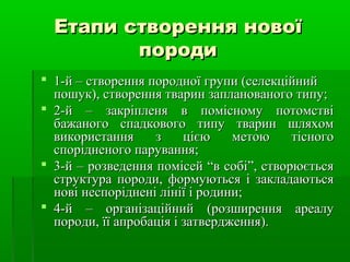ЕЕттааппии ссттввоорреенннняя ннооввооїї 
ппооррооддии 
 11--йй –– ссттввоорреенннняя ппооррооддннооїї ггррууппии ((ссееллееккццііййнниийй 
ппоошшуукк)),, ссттввоорреенннняя ттвваарриинн ззааппллааннооввааннооггоо ттииппуу;; 
 22--йй –– ззааккррііппллеенняя вв ппооммііссннооммуу ппооттооммссттввіі 
ббаажжааннооггоо ссппааддккооввооггоо ттииппуу ттвваарриинн шшлляяххоомм 
ввииккооррииссттаанннняя зз цціієєюю ммееттооюю ттііссннооггоо 
ссппооррііддннееннооггоо ппаарруувваанннняя;; 
 33--йй –– ррооззввееддеенннняя ппооммііссеейй ““вв ссооббіі””,, ссттввооррююєєттььссяя 
ссттррууккттуурраа ппооррооддии,, ффооррммууююттььссяя іі ззааккллааддааююттььссяя 
ннооввіі ннеессппооррііддннеенніі ллііннііїї іі ррооддииннии;; 
 4--йй –– ооррггааннііззааццііййнниийй ((ррооззшшиирреенннняя ааррееааллуу 
ппооррооддии,, їїїї ааппррооббааццііяя іі ззааттввееррдджжеенннняя)).. 
 
