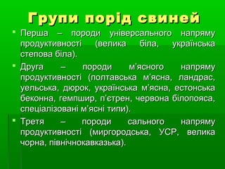 ГГррууппии ппоорріідд ссввииннеейй 
 ППеерршшаа –– ппооррооддии ууннііввееррссааллььннооггоо ннааппрряяммуу 
ппррооддууккттииввннооссттіі ((ввееллииккаа ббііллаа,, ууккррааїїннссььккаа 
ссттееппоовваа ббііллаа)).. 
 ДДррууггаа –– ппооррооддии мм’’яяссннооггоо ннааппрряяммуу 
ппррооддууккттииввннооссттіі ((ппооллттааввссььккаа мм’’яяссннаа,, ллааннддрраасс,, 
ууееллььссььккаа,, ддююрроокк,, ууккррааїїннссььккаа мм’’яяссннаа,, еессттооннссььккаа 
ббееккооннннаа,, ггееммппшшиирр,, пп’’єєттрреенн,, ччееррввооннаа ббііллооппоояяссаа,, 
ссппееццііааллііззоовваанніі мм’’яясснніі ттииппии)).. 
 ТТррееттяя –– ппооррооддии ссааллььннооггоо ннааппрряяммуу 
ппррооддууккттииввннооссттіі ((ммииррггооррооддссььккаа,, УУССРР,, ввееллииккаа 
ччооррннаа,, ппііввннііччннооккааввккааззььккаа)).. 
 